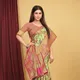 Pista__Royal Rajgharana Sarees
